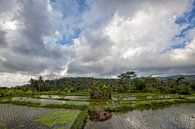 Umgebung Agungvulkaan während auf der Insel Bali in Indonesien von Tjeerd Kruse Miniaturansicht