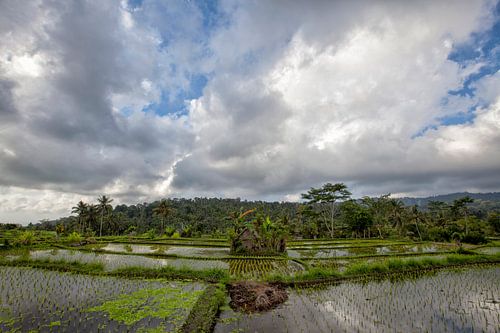 Omgeving Agungvulkaan tijdens op eiland van Bali in Indonesië