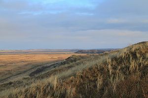 Blick über die Slufter mit dem Leuchtturm von Texel in der Ferne