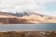 Tso Moriri Lake in Ladakh van Your Travel Reporter thumbnail