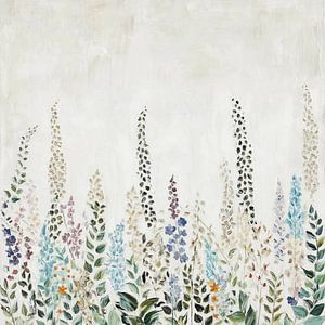 Blumenwiese im Sommer