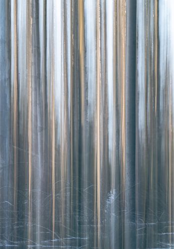 Planken Wambuis part 127