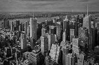 Manhattan (New York City) Panorama von Alexander Mol Miniaturansicht