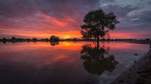 Sonnenuntergang auf der IJssel in Wijhe