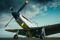 mustang