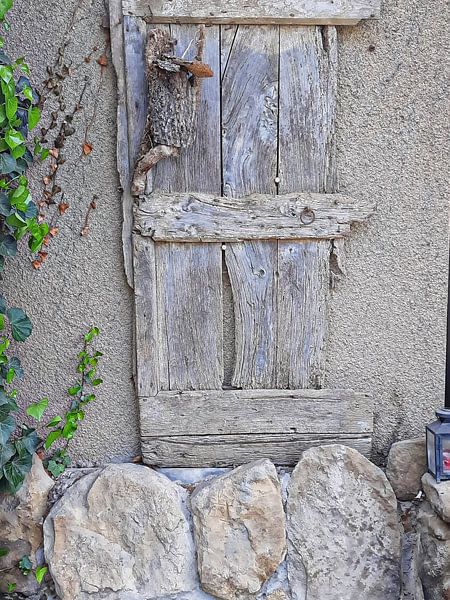Old Goose Barn Doorway 2 by Dorothy Berry-Lound