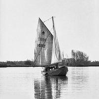 Segelboot im Biesbosch - Schwarz-Weiß-Foto Quadrat