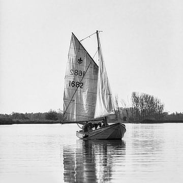Zeilboot in de Biesbosch - zwart-wit foto vierkant van Kees Dorsman