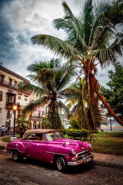 Lila Oldtimer in Strasse von Havanna Kuba von Dieter Walther