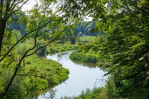 River Kleine Leine