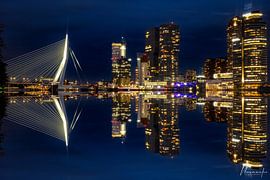 Rotterdam Skyline Reflection by Night by Nevanilio Sancho