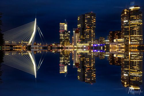 Rotterdam Skyline Reflection by Night