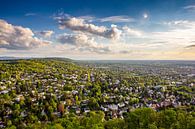Uitzicht over Karlsruhe in Duitsland vanaf de Turmberg van Evelien Oerlemans thumbnail