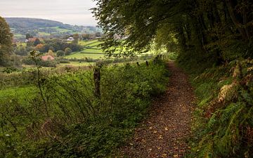 Les collines enchanteresses du Limbourg : un moment de repos sur Hevonax Photography