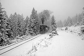 Die Brockenbahn ca. 2 km vor dem Brockenbahnhof. von t.ART