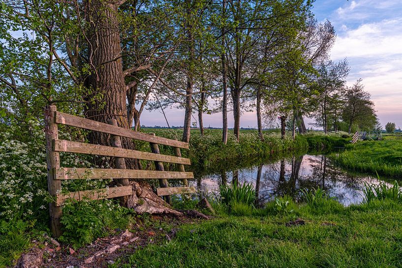 Polderpfad bei Hekendorp von Gijs Rijsdijk