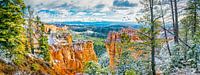 Panoramisch uitzicht in Bryce Canyon NP, Noord-Amerika van Rietje Bulthuis thumbnail