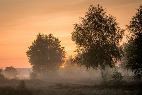 Réveil dans les marais : silence aux couleurs pastel au-dessus de la lande sur Christian Möller Jork