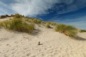 dunes hollandaises sur Menno Schaefer