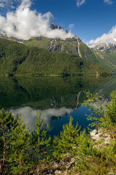 Eikesdalvatnet, Norvège par Adelheid Smitt