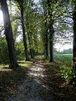 Schattige Gasse