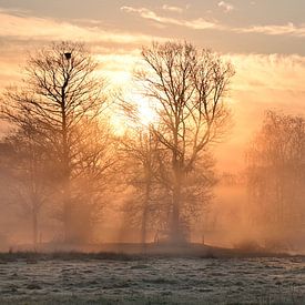 Mystiek landschap van Wim Beunk