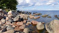 Große Felsbrocken an der Küste bei Kasmu in Estland von Gert Bunt Miniaturansicht