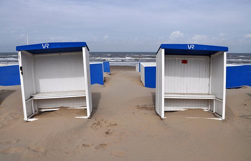 on the beach