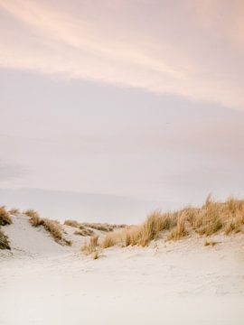 Ameland van Raisa Zwart