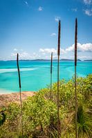 Whitehaven strand op de Whitsundays in Australië