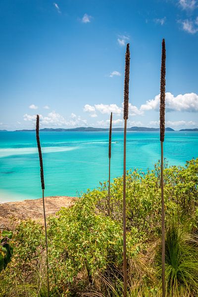 Plage de Whitehaven dans les Whitsundays en Australie par Troy Wegman
