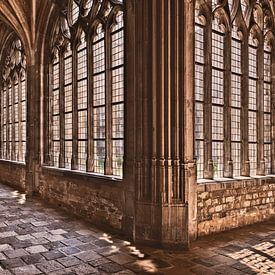 Abbey of Middelburg by Sander Poppe
