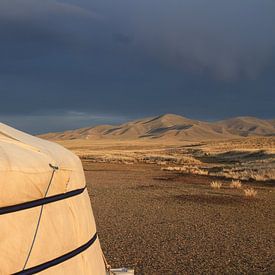 Donkere lucht in de Gobi woestijn van Suitcasefullofsmiles