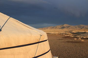 Donkere lucht in de Gobi woestijn van Suitcasefullofsmiles