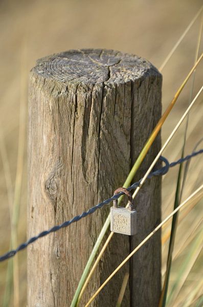 Lovelock by Corinna Vollertsen