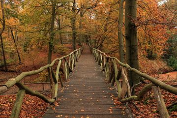 Vue à travers un pont en bois dans une forêt d'automne sur FotoBob