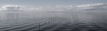 Minimalismus - ein Panorama aus Wasser und Fischernetzen