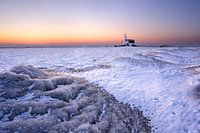 Paard van Marken in de Winter II