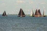 Botters op het Meer bij Spakenburg. von Brian Morgan Miniaturansicht