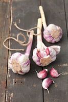 11397847 Garlic balls on a rustic wooden table