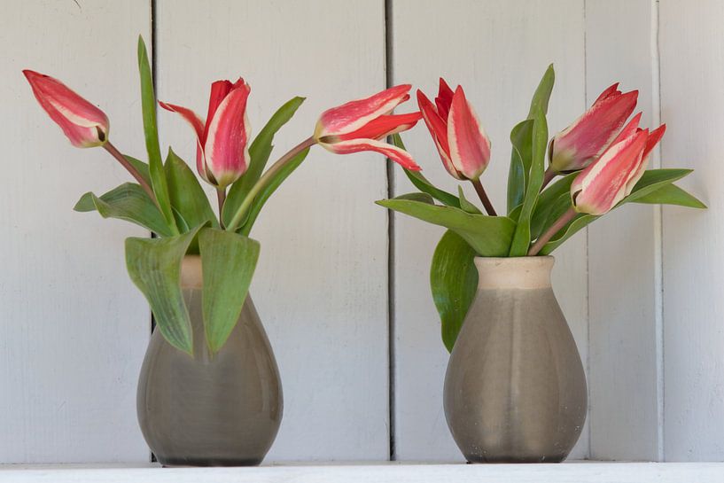Tulip vases in a brocante cupboard in the garden by Jolanda de Jong-Jansen