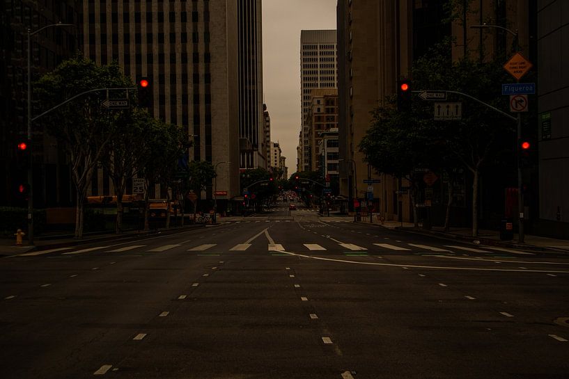 Los Angeles by Hello Pompoyo