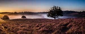 Posbank le matin  sur Jamie Lebbink