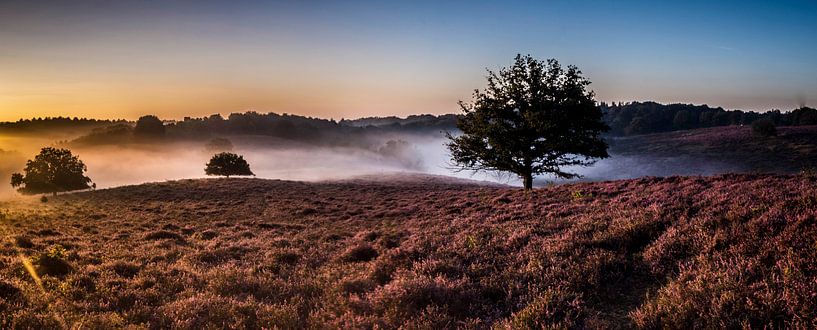 Posbank le matin  par Jamie Lebbink