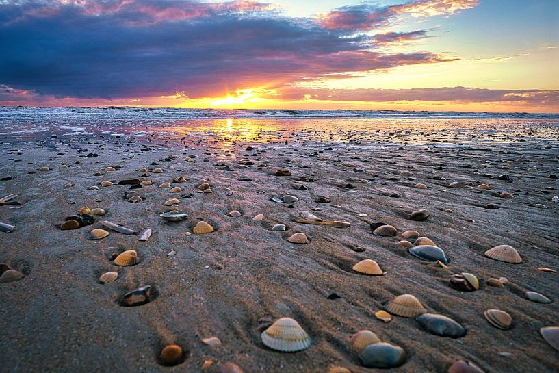 On Blåvand beach at sunset by the sea by Martin Köbsch