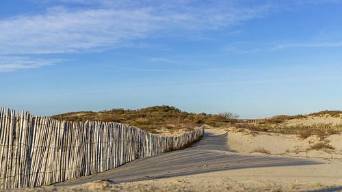 Les dunes de La Haye au soleil