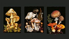 Triptychon Pilze auf schwarzem Hintergrund von Margriet Hulsker