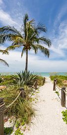 Weg zum Strand | Panorama von Melanie Viola