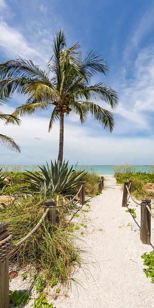 Path to the beach | Panorama by Melanie Viola