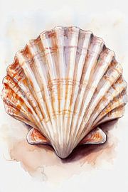 Scallop in Watercolor by Studio BB